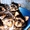 Великолепные щенки йоркширского терьера - Изображение #2, Объявление #465839
