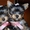 Великолепные щенки йоркширского терьера - Изображение #1, Объявление #465839
