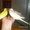 Птенцы волнистого попугайчика - Изображение #2, Объявление #457115