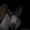 Парное мясо кролика - Изображение #2, Объявление #488667