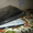 Продам отличный ноутбук Acer Aspire 57720G #502091