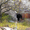 Продается участок с собственной пещерой, Севастополь - Крым - Изображение #1, Объявление #591531