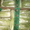 Пекинская капуста (Польша) - Изображение #2, Объявление #587342