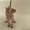  Продам котенка породы Петерболд - Изображение #3, Объявление #566006