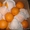Апельсины «Navelina»  #603807