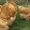 Продажа породистых кур и уток ,индюшки,индоутята, цыплята - Изображение #1, Объявление #281394