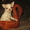 Чихуахуа шикарные  щенки - Изображение #2, Объявление #625166