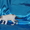 Королевские котята породы Корнш Рекс #625834