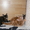 Котята Мейн кун,аборигены кошачьего мира Мейн Кун - Изображение #3, Объявление #633319