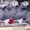 Продаем птенцов крупных видов попугаев #620708