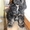 американский кокер спаниель - продам щенка - Изображение #4, Объявление #665895
