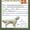 американский кокер спаниель - продам щенка - Изображение #2, Объявление #665895