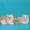 Шотландские котята хайленды - Изображение #1, Объявление #684333