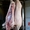 свинина и говядина охлаждённая и глубокой заморозки - Изображение #1, Объявление #676763