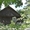 Дом без земельного участка в Латвии - Изображение #3, Объявление #715503