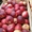 Виноград, яблоки, слива - Изображение #4, Объявление #723983