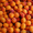 косточковые абрикос персик нектарин #708318