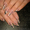 наращивание ногтей бабушкинская #702192