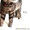 в дар сибирский котик Макс - Изображение #3, Объявление #702712