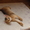 Классные абиссинские котята - Изображение #2, Объявление #720544