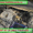 Электронная диагностика ремонт двигателя легковых автомобилей в Тушино-Авто  #732913