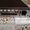 Roland Fantom XR звуковой модуль,семплер - Изображение #3, Объявление #731866