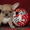 Чихуахуа щенки красотульки - Изображение #1, Объявление #764121