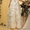 Свадебные платья tFlora   #759854