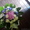 Букеты и корзины из живых цветов для праздника - Изображение #1, Объявление #818182