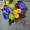Букеты и корзины из живых цветов для праздника - Изображение #3, Объявление #818182