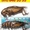 Уничтожение тараканов, уничтожение клопов - надежно, Москва - Изображение #2, Объявление #836377