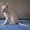 Корниш-рекс котята из питомника Basileus - Изображение #2, Объявление #840010