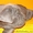 Мастино наполетано щенки - Изображение #2, Объявление #846502