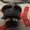 Ксеноновая лампа D4S на тойота камри - Изображение #3, Объявление #853469