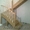 Монтаж деревянных лестниц, выезд на замер, консультация, рекомендации - Изображение #3, Объявление #888492