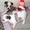Китайская хохлатая - очаровательные щеночки - Изображение #6, Объявление #747555