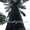 Искусственные и стабилизированные пальмы  - Изображение #1, Объявление #873478