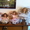 Интерьерные коллекционные фарфоровые куклы - Изображение #7, Объявление #904356