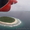 Шикарный остров на Мальдивах - Изображение #2, Объявление #930809