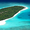  Красивый остров на Мальдивах - Изображение #1, Объявление #931742