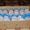 Цыплята-бройлеры, замороженные, в индивидуальном цветном пакете - Изображение #3, Объявление #925575