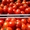 Продам помидоры с Украины за низкими ценами #936808