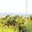 Продажа Земельного Участка в городе Бенидорме - Изображение #2, Объявление #973496