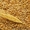 Экспорт,  пшеница,  ячмень,  кукуруза,  мука,  FOB,  CIF  #975561