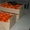 Апельсины оптом от производителя - Изображение #3, Объявление #985911