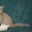 Чистокровные британские котята от Чемпиона Мира! #968264