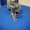 Мягкие коготки - антицарапки для кошек - Изображение #4, Объявление #996065