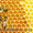 Продаем башкирский мед с собственной пасеки - Изображение #2, Объявление #1039693