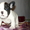 Самые красивые щенки французского бульдога - Изображение #3, Объявление #1036007