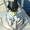 Кольцевой токосъемник (токоприемник) от Производителя Кондактикс-Вампфлер Герман - Изображение #3, Объявление #1036158